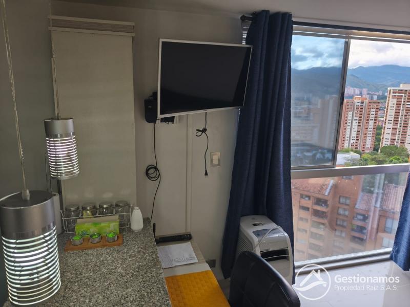 WhatsApp Image 2026-02-18 at 11.33.13 AM (1).jpeg